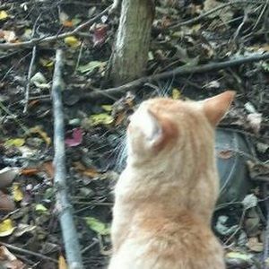 Meet your Posher, Clint